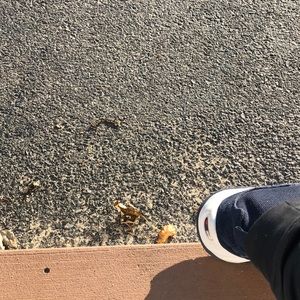 Meet your Posher, Caleb